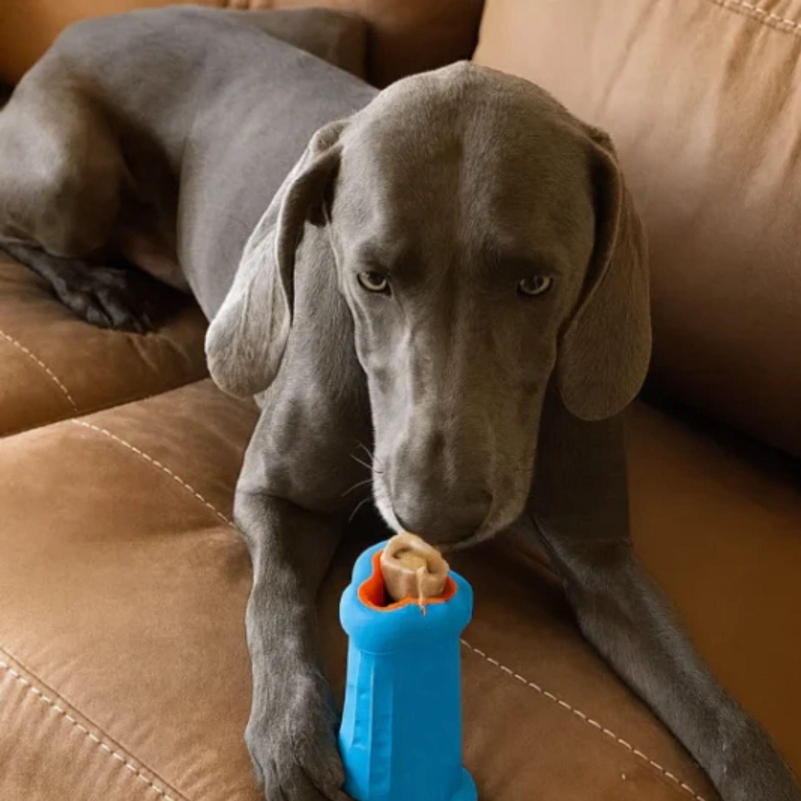 Brinquedo Recheável - Kong Treatster - Imagem 2