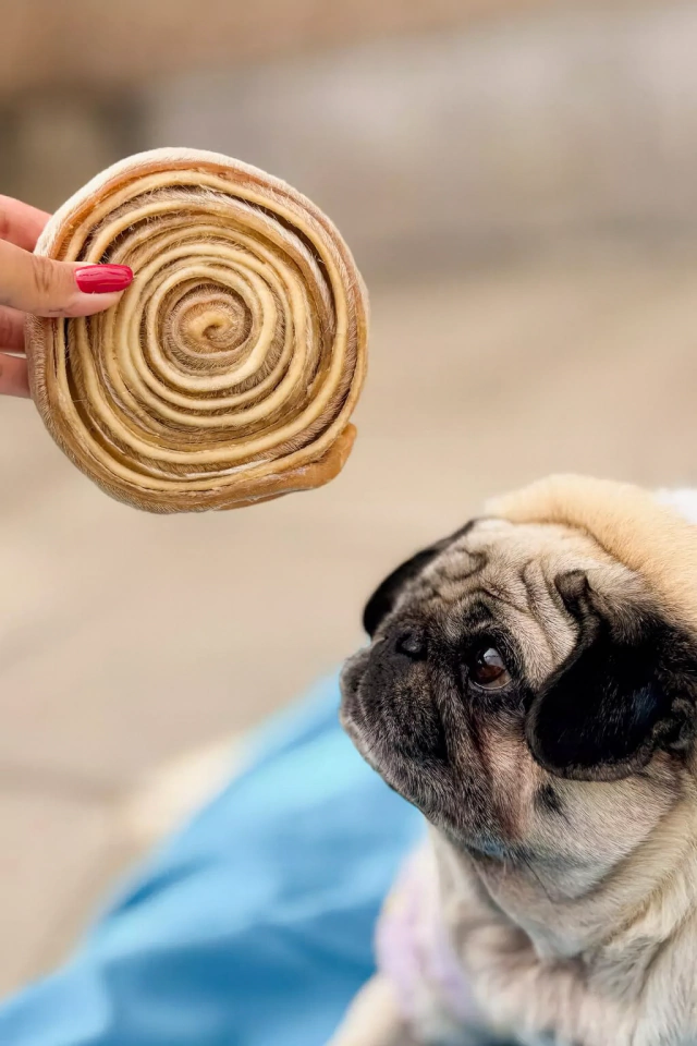 Discão-Couro Bovino Desidratado-Pet Bem - Imagem 3