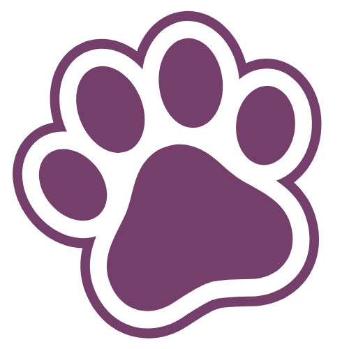 Lançamentos para o seu pet