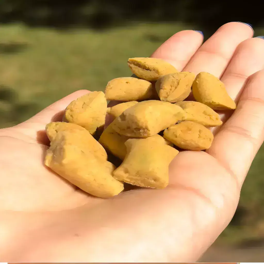 Biscoito Frango E Salsinha 100g -Petisco Natural Para Cães-Pet Bem - Imagem 3