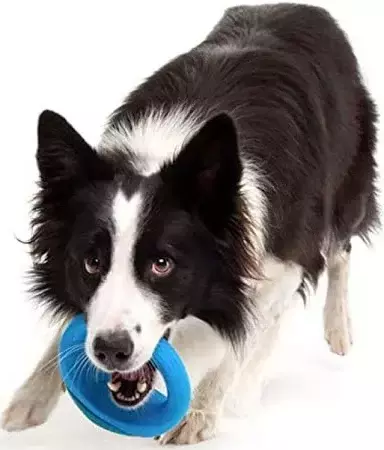 Brinquedo Interativo para arremesso- Kong Pop-Upz - Imagem 4