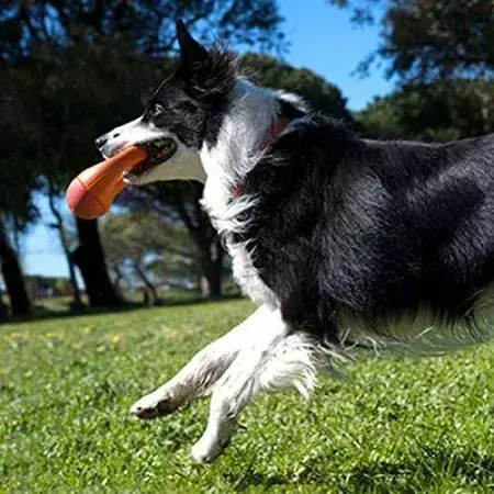 Brinquedo Interativo para arremesso- Kong Pop-Upz - Imagem 5