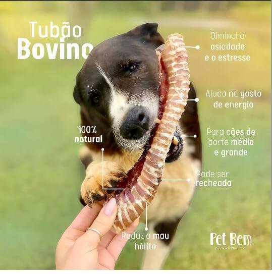 Mordedor Natural para Cães - Traquéia Bovina Desidratada- Tubão 2 unidades- Pet Bem - Imagem 2