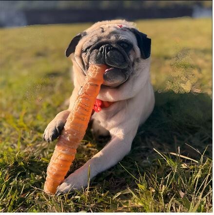 Mordedor Natural para Cães - Traquéia Bovina Desidratada- Tubão 2 unidades- Pet Bem - Imagem 5