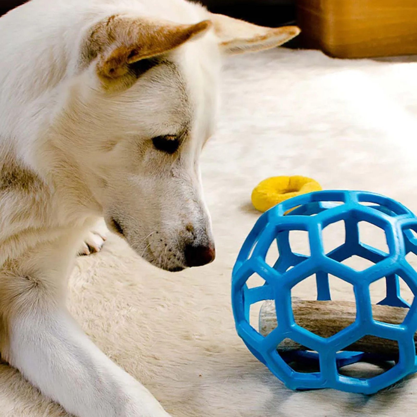 Bola Interativa JW Hol-ee Roller - Imagem 5