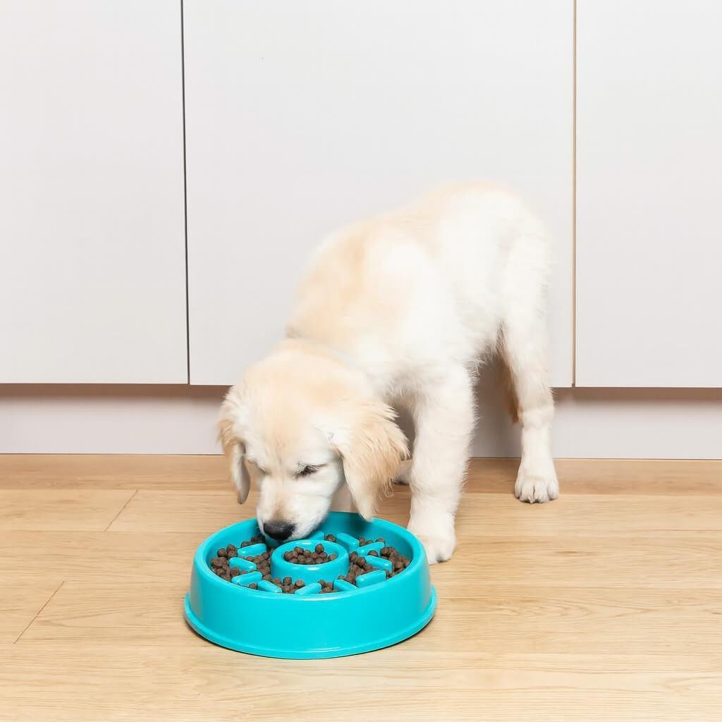 Comedouro Lento- Donuts- ZippyPaws - Imagem 3