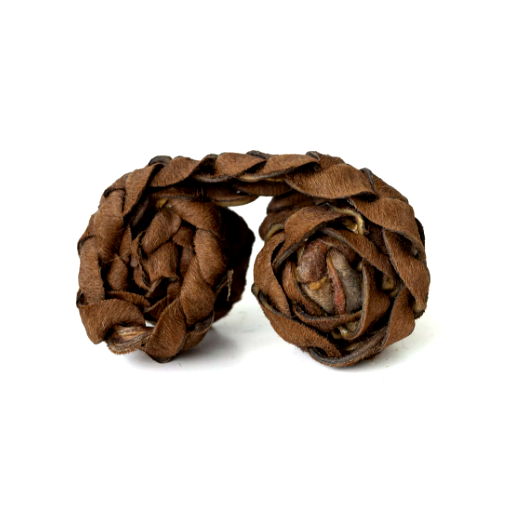 Pele Bovina Trançada- CãoBeat- Paparico