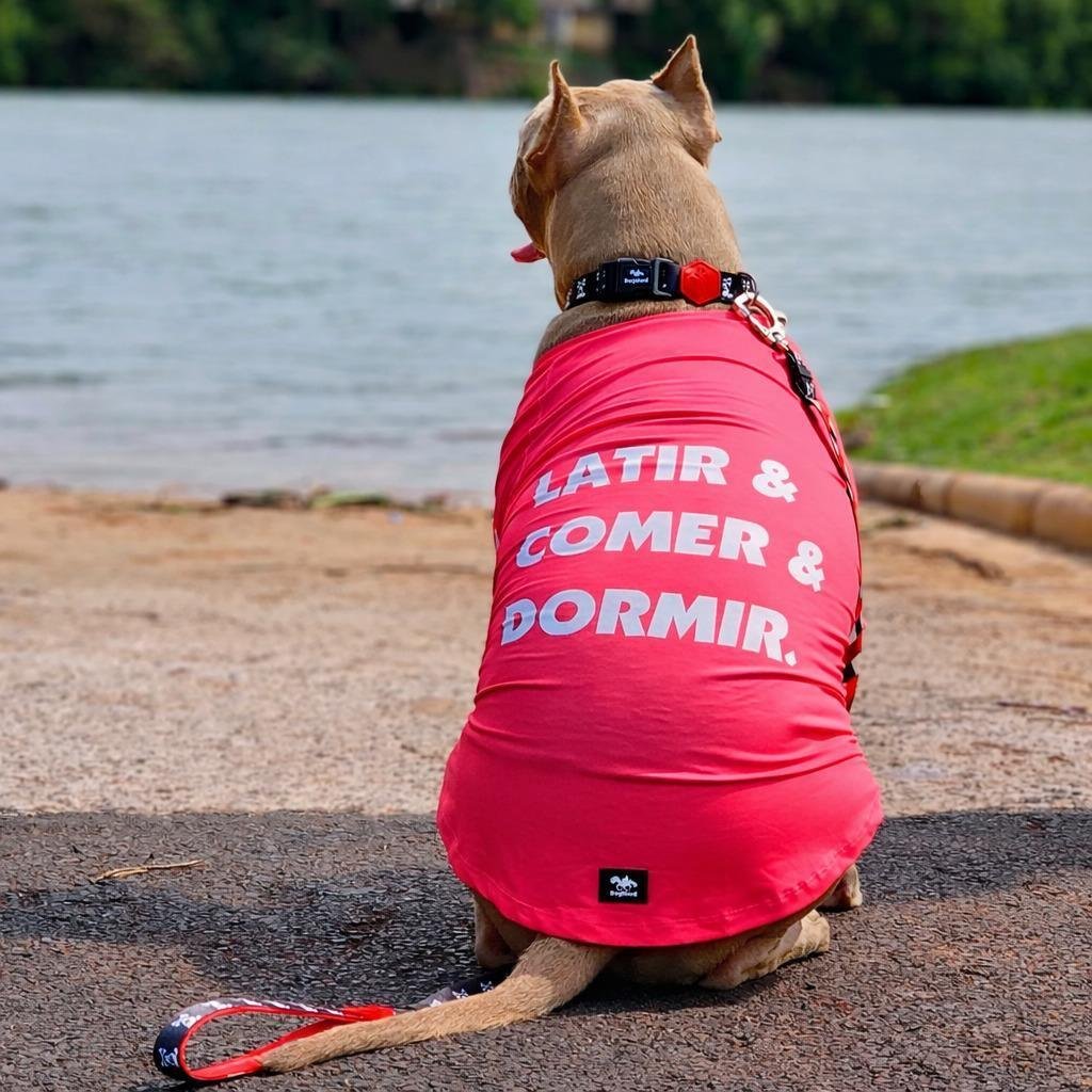 Roupa para Cães-UV50+-Latir e Comer-Rosa-DogNerd